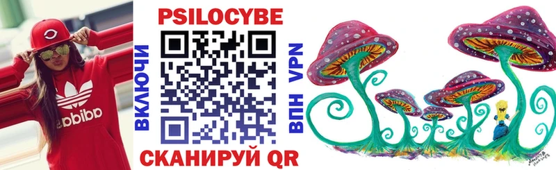 Галлюциногенные грибы GOLDEN TEACHER  Купить закладки  Иланский 