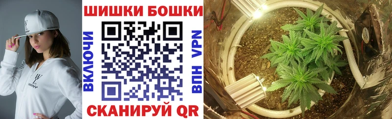 Купить где  Иланский  Канабис MAZAR 